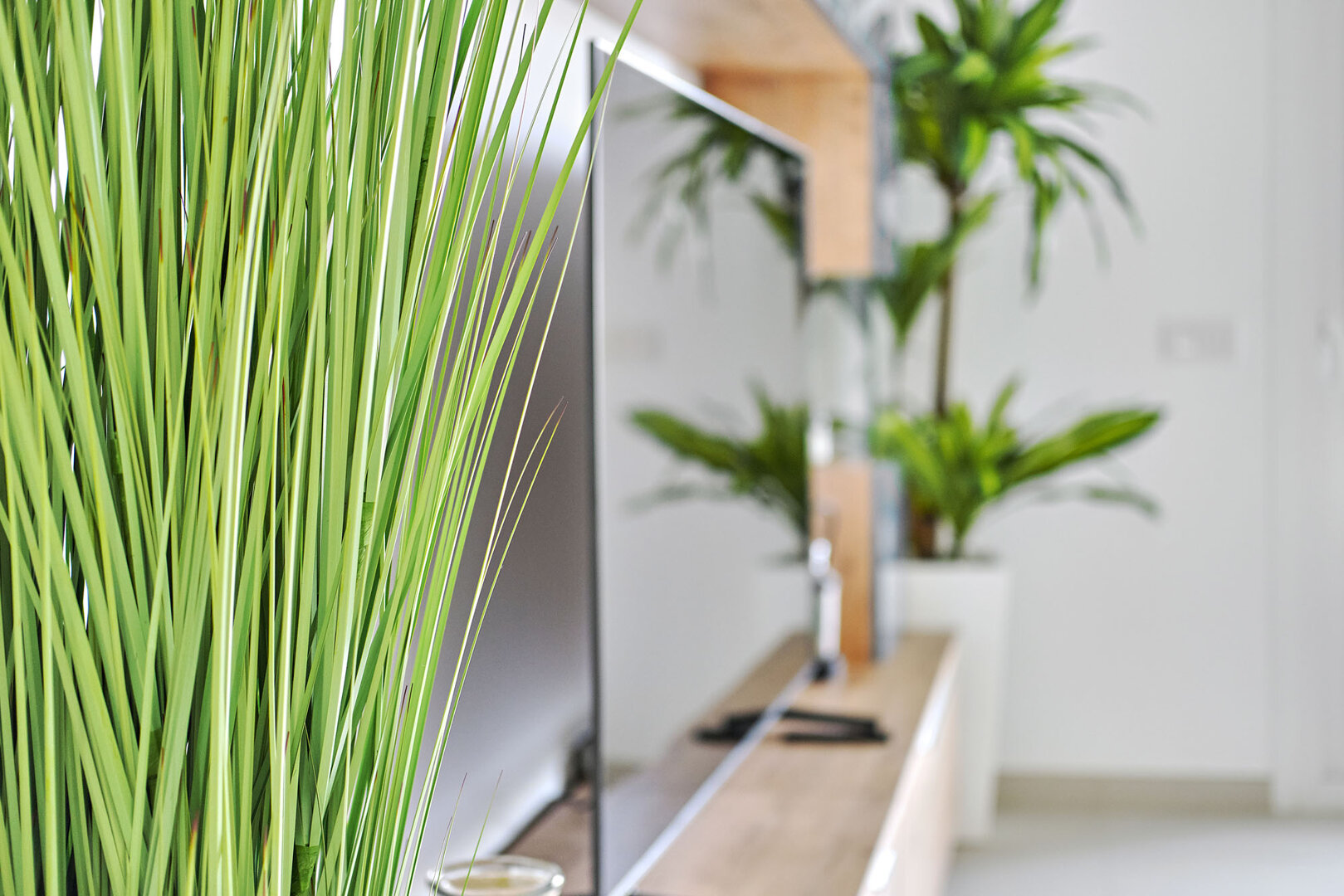 Damian Andrzej Wlodarkiewicz - 35