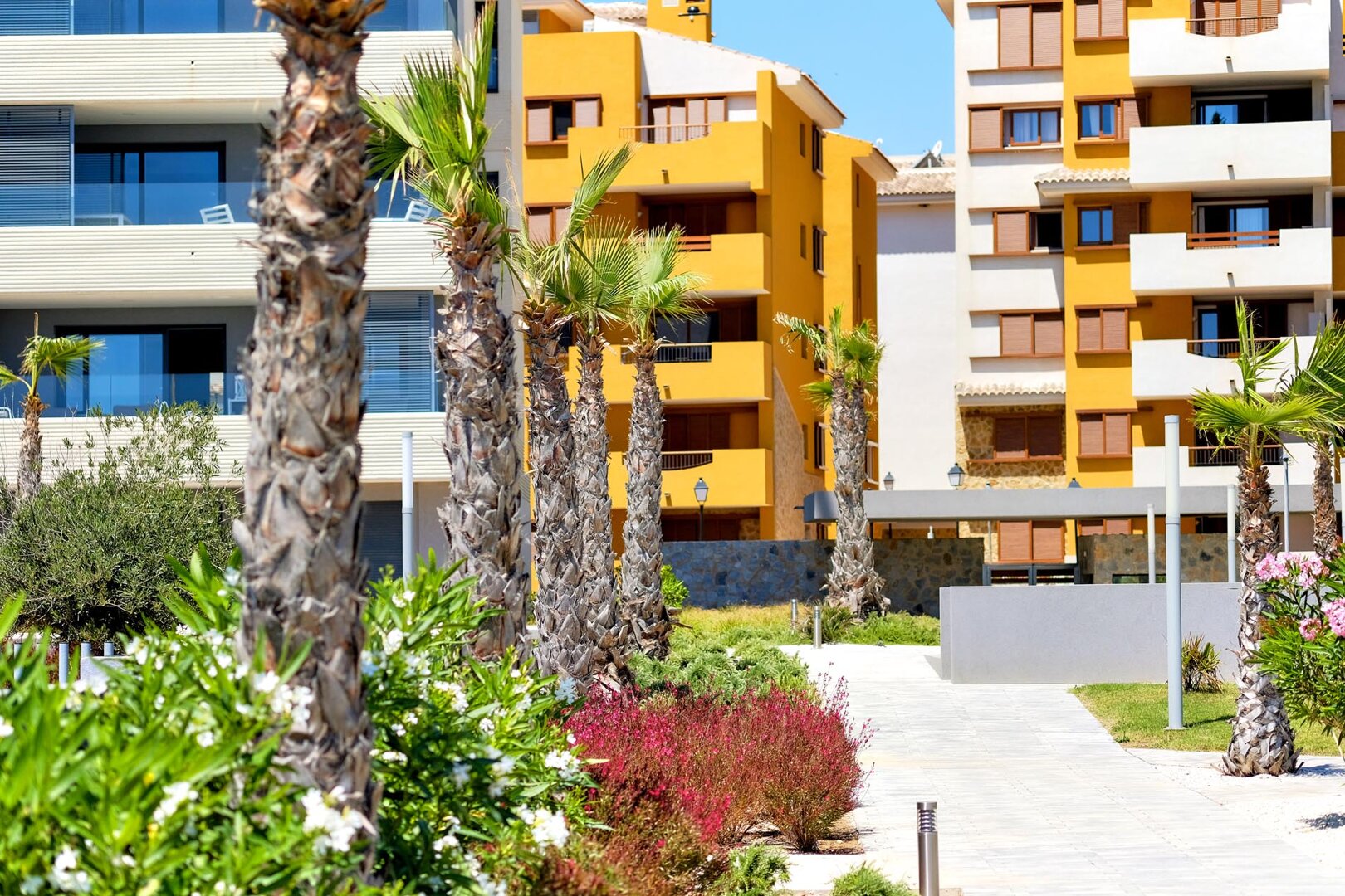 Damian Andrzej Wlodarkiewicz - 55