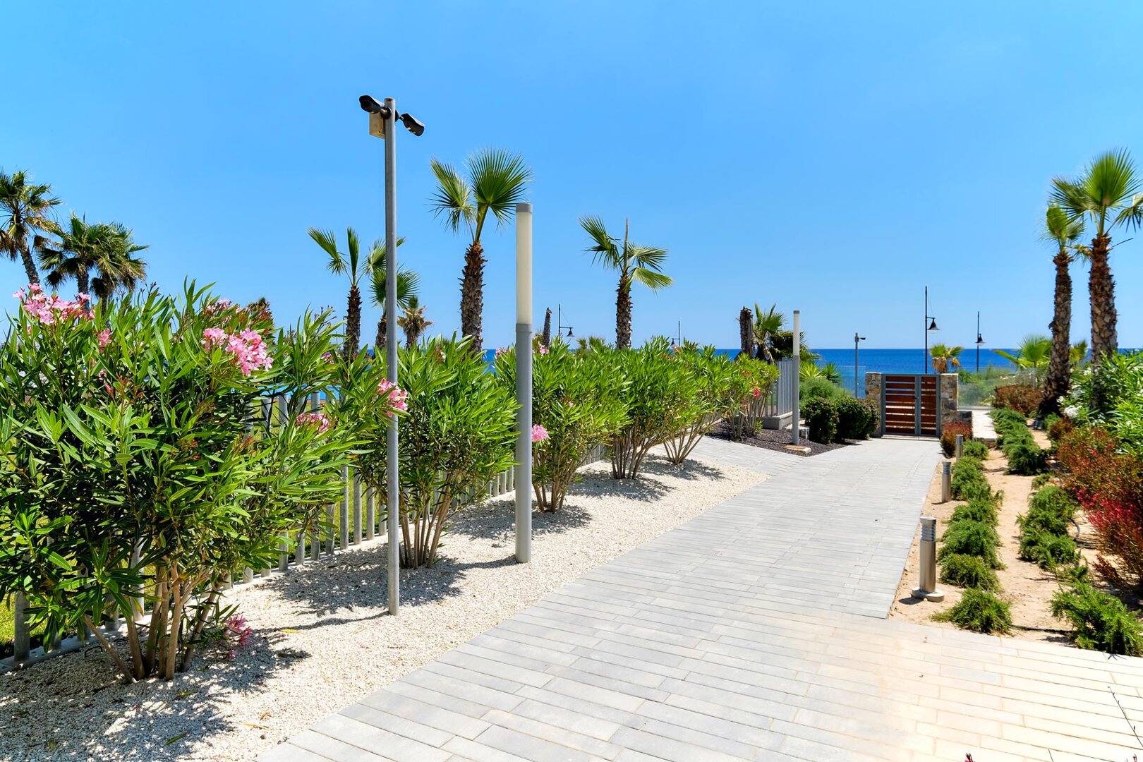 Damian Andrzej Wlodarkiewicz - 61