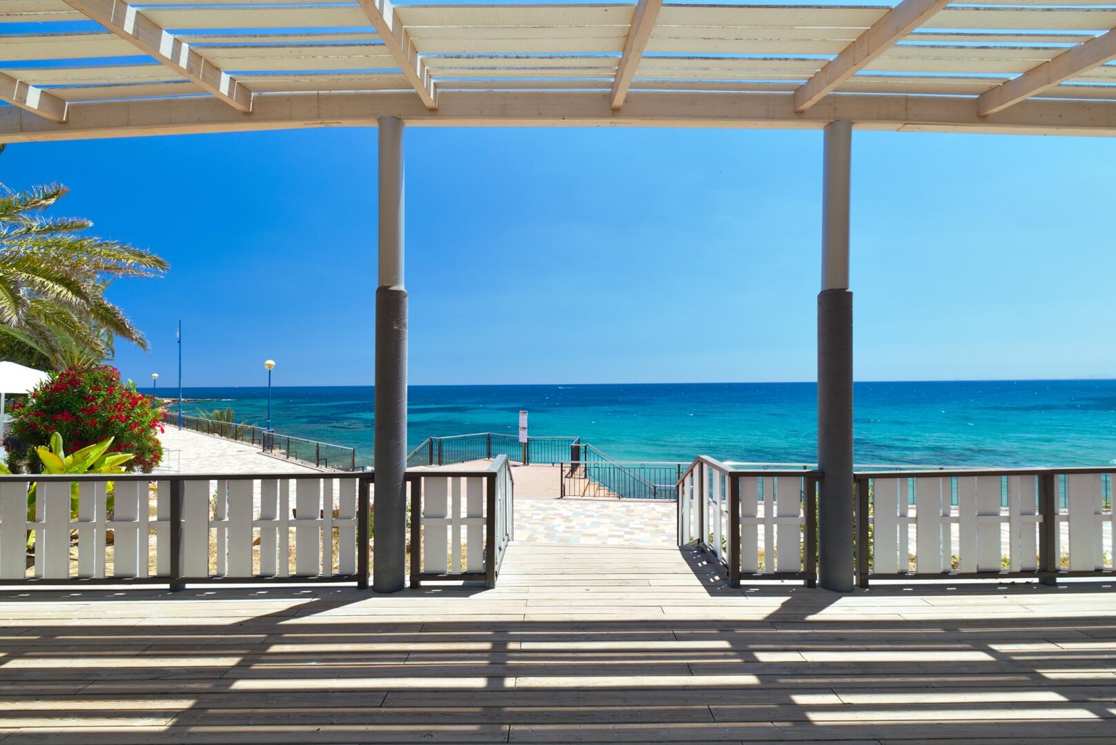 Damian Andrzej Wlodarkiewicz - 65