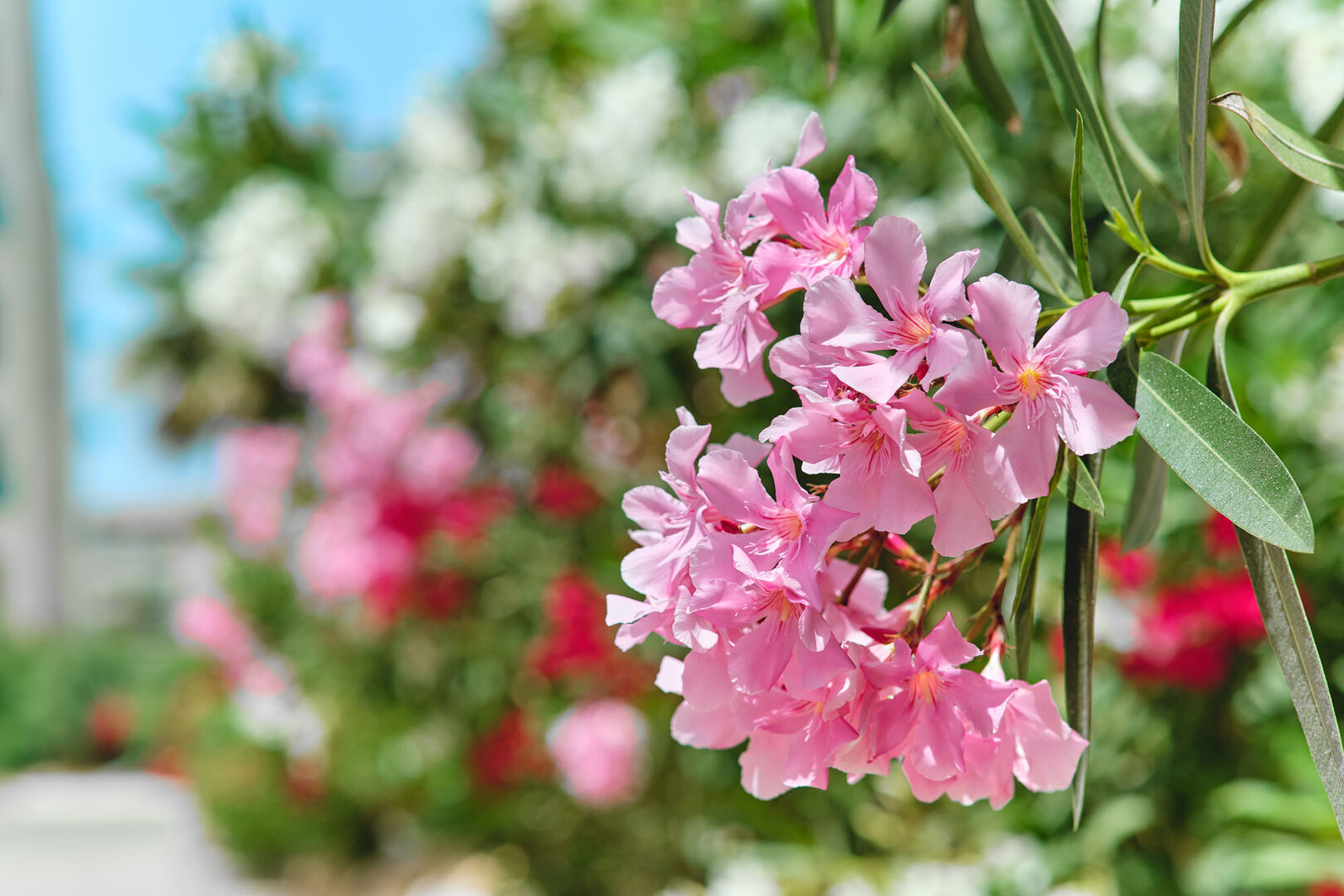 Damian Andrzej Wlodarkiewicz - 74